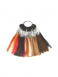 Anello Di Colore Dei Capelli Umani